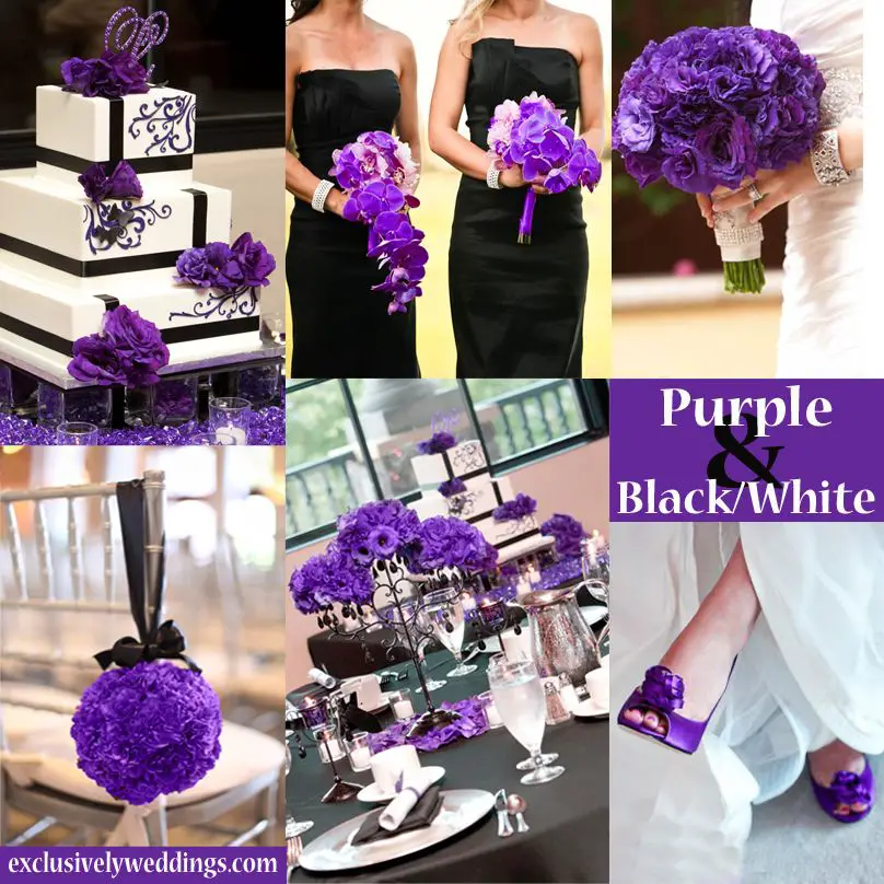 Black White And Purple Wedding Ideas